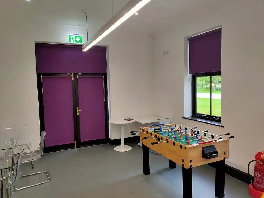 public sector purple blinds