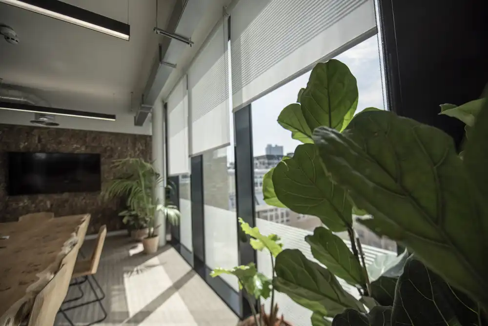 Decorquip blinds in office